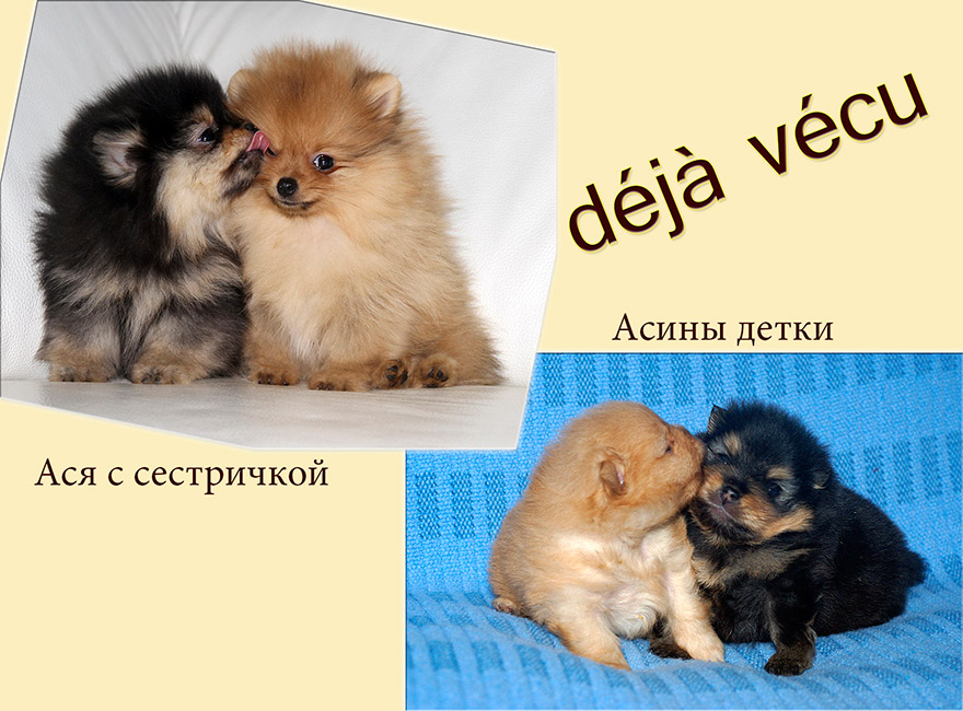 Асины детки
