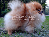 ����������� ���� DONETELLO-VITTORIO IZ IMPERATORSKOGO DVORCA