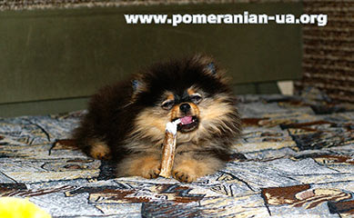 ������� ��� �����